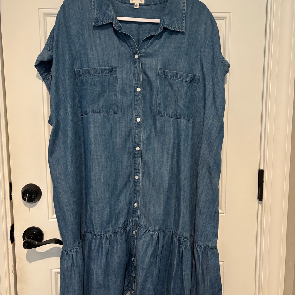 Wonderly Blue Denim Dress 3X